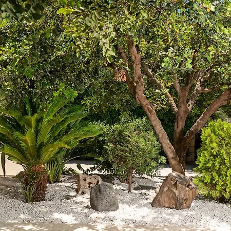 Ellovos With Private Pool Villa